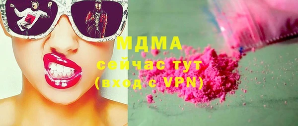 индика Богородицк