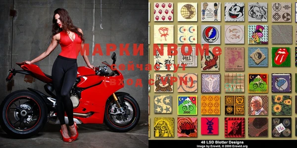амф Богданович