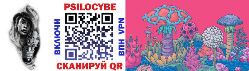 купить наркотик  Сорочинск  KRAKEN рабочий сайт  Псилоцибиновые грибы Psilocybe 
