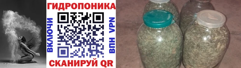 Каннабис гибрид Сорочинск